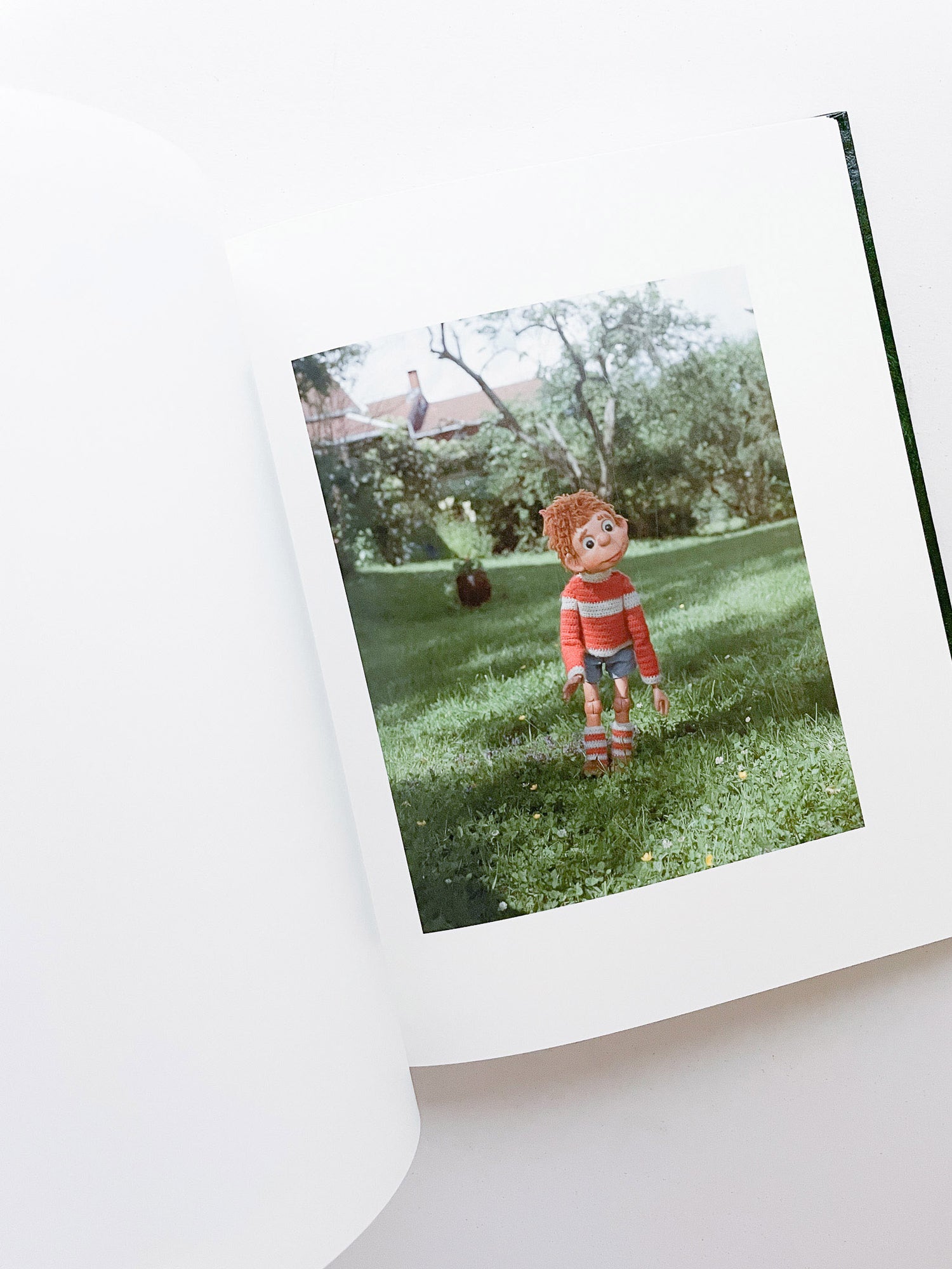 SASQUATCH CENTURY / Torbjørn Rødland