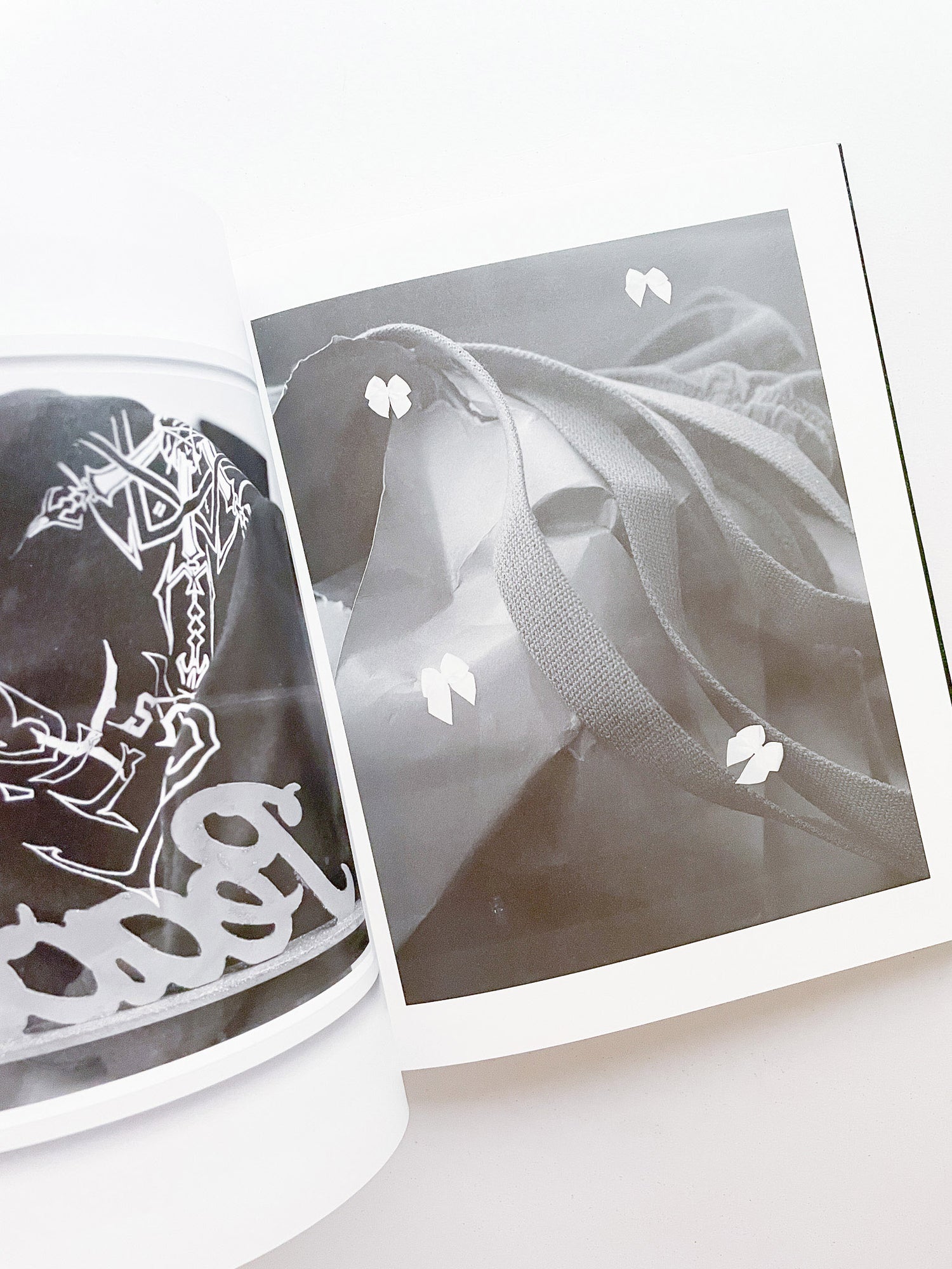 SASQUATCH CENTURY / Torbjørn Rødland