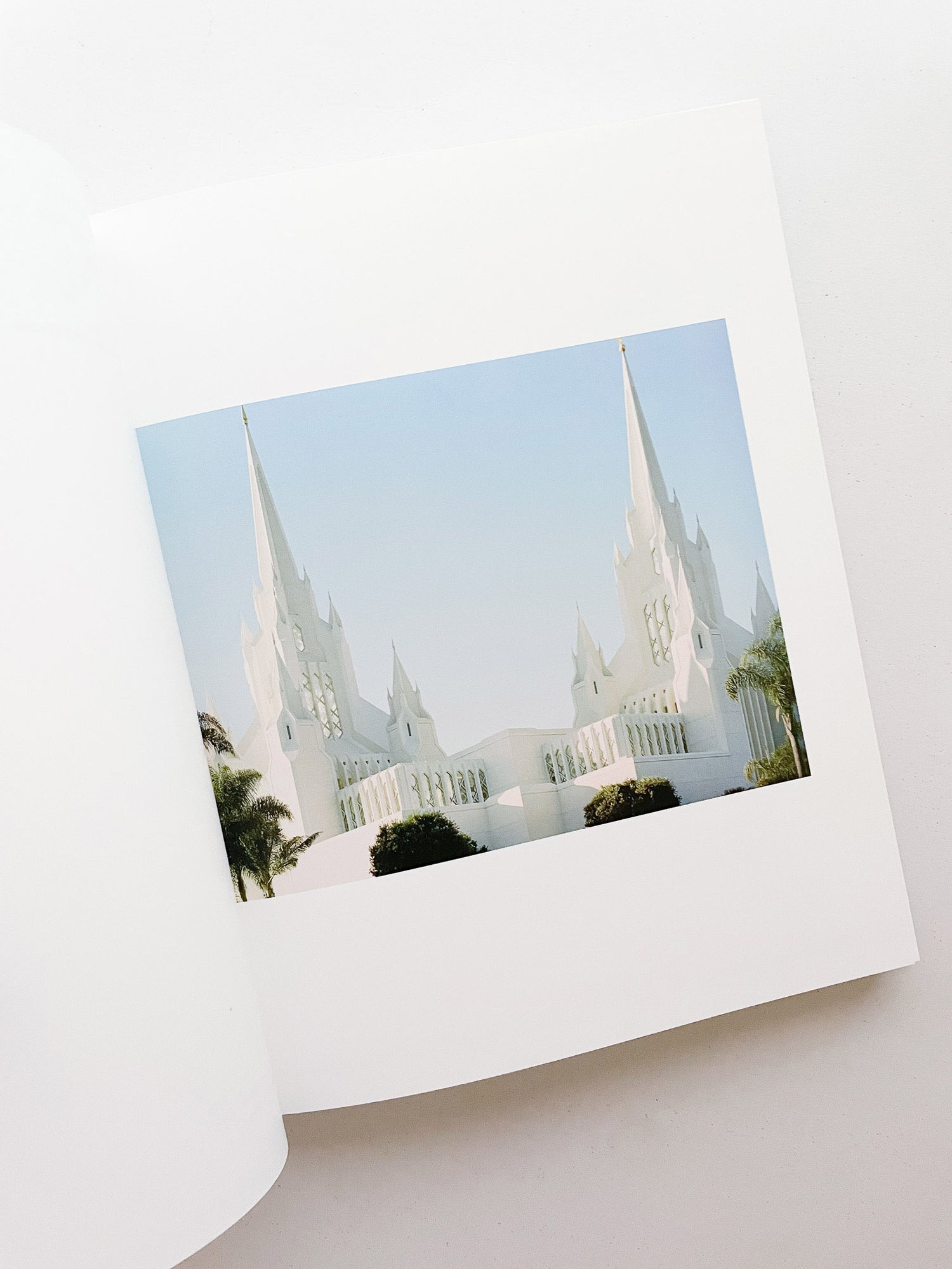 SASQUATCH CENTURY / Torbjørn Rødland