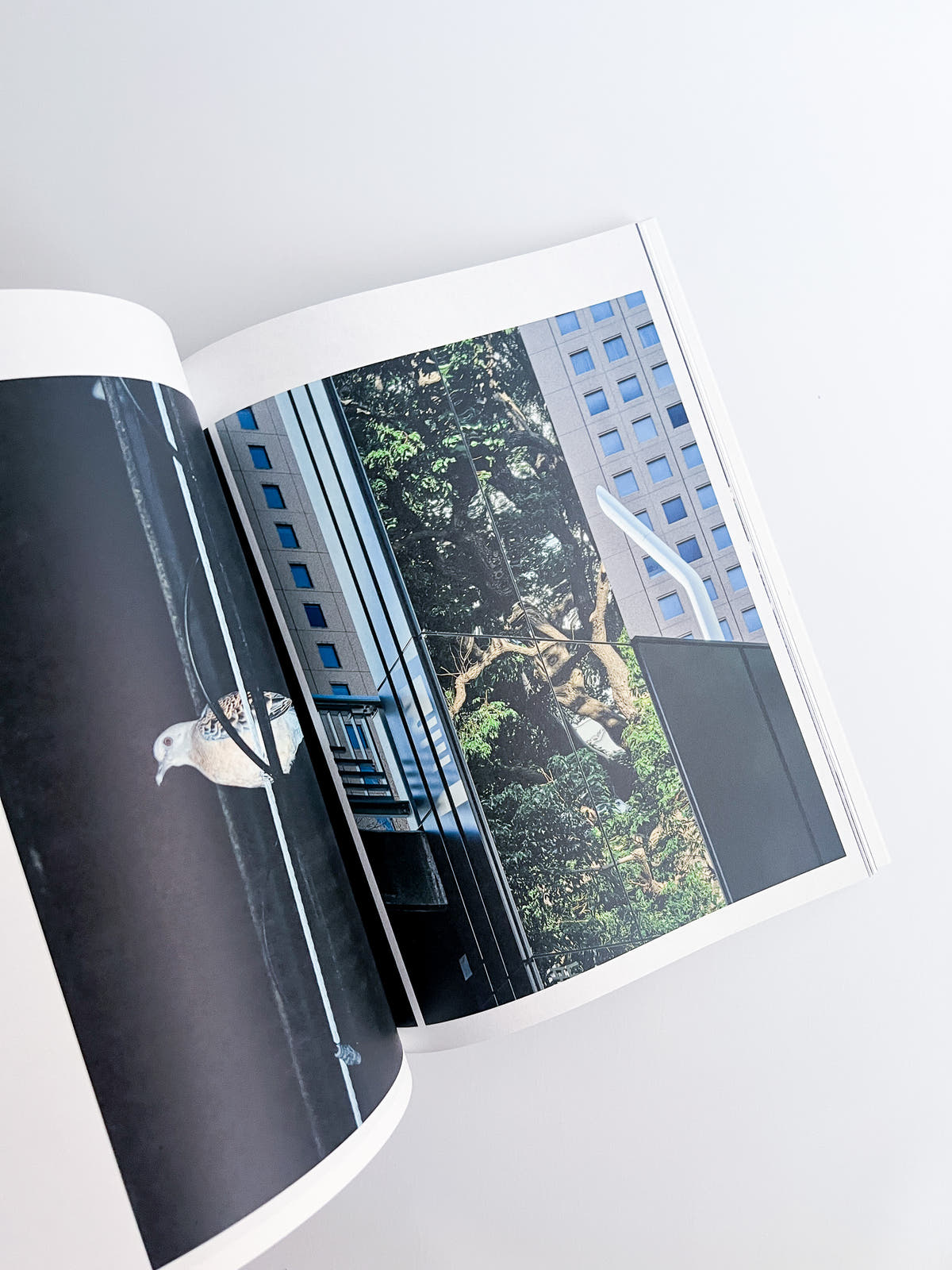 SLEEPWALK / Hiroyuki Takenouchi