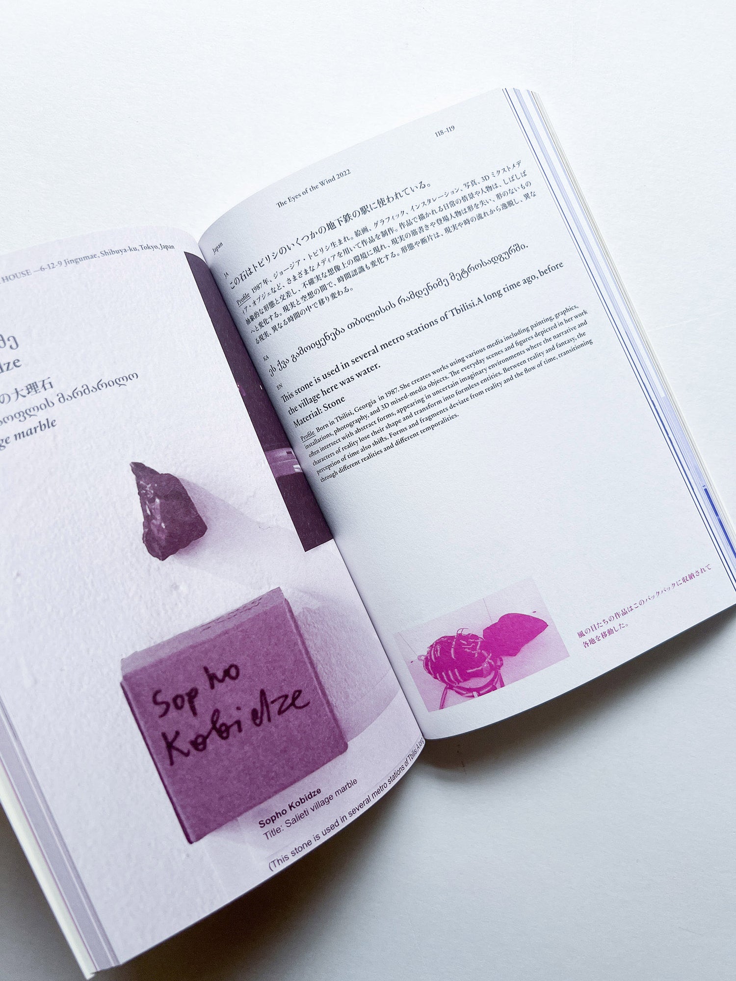 風の目たち / The Eyes of the Wind Pocket Tour Book 2022―2024