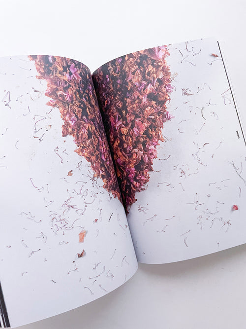 With Love. From an Invader. / Yan Wang Preston