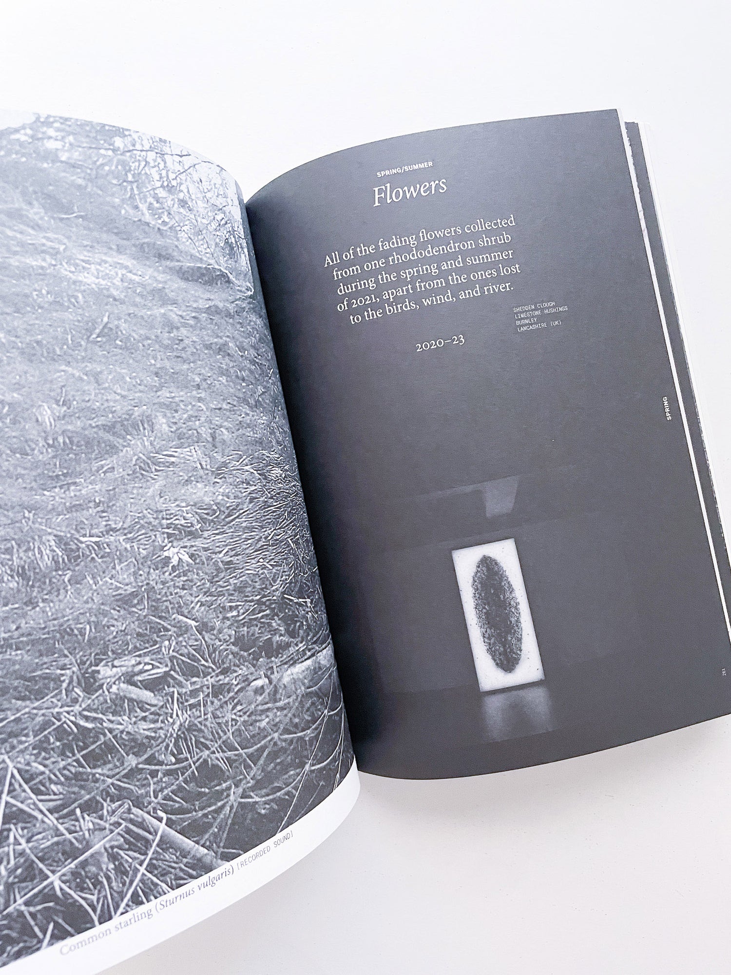 With Love. From an Invader. / Yan Wang Preston