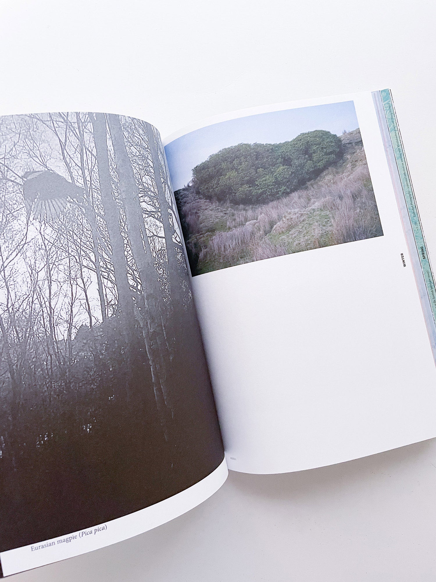 With Love. From an Invader. / Yan Wang Preston