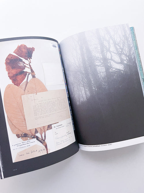 With Love. From an Invader. / Yan Wang Preston