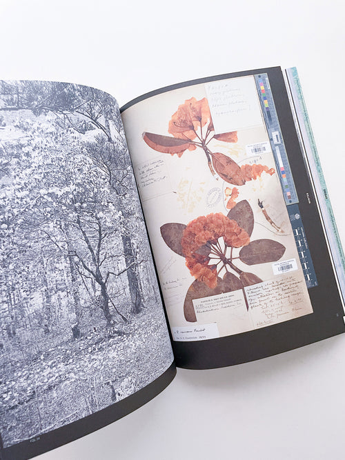 With Love. From an Invader. / Yan Wang Preston