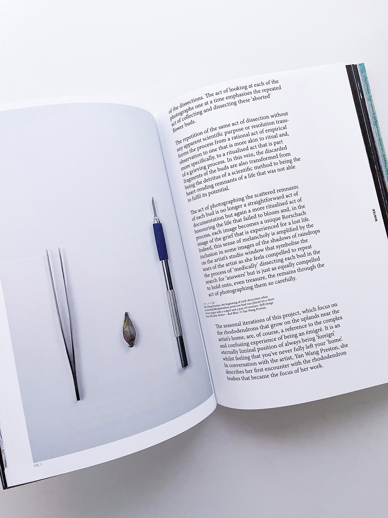 With Love. From an Invader. / Yan Wang Preston