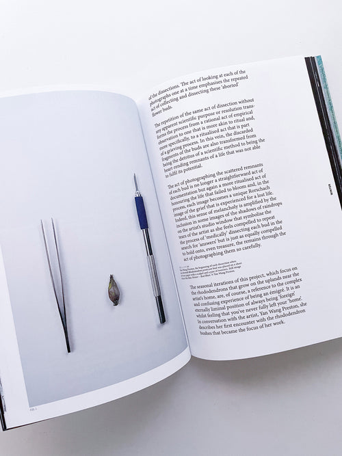 With Love. From an Invader. / Yan Wang Preston