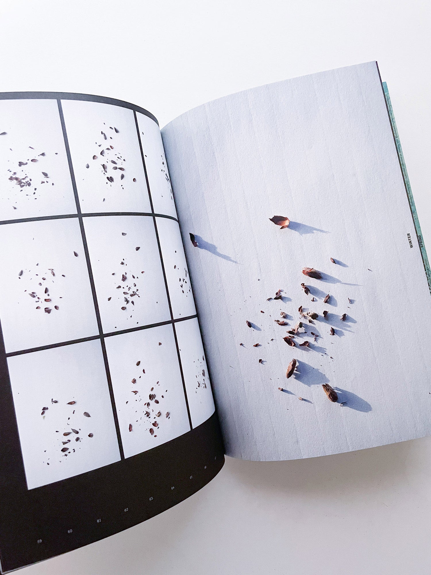 With Love. From an Invader. / Yan Wang Preston