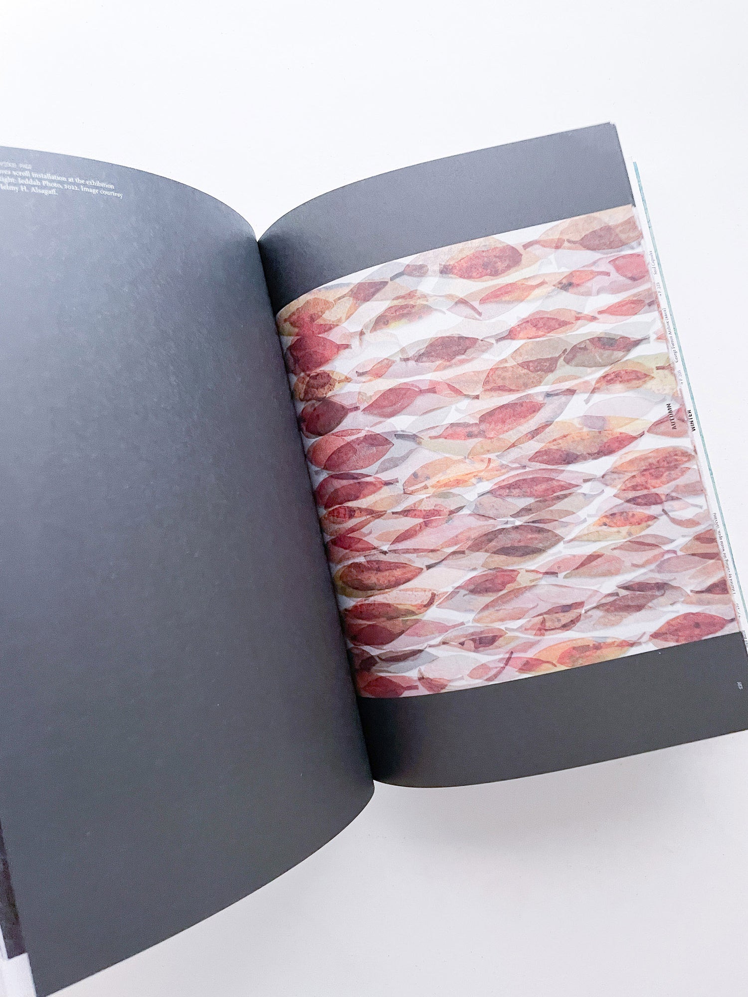 With Love. From an Invader. / Yan Wang Preston