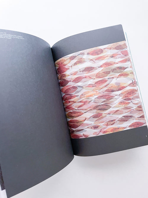 With Love. From an Invader. / Yan Wang Preston