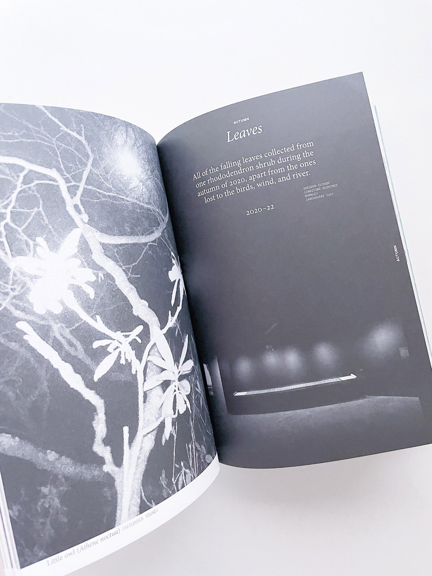 With Love. From an Invader. / Yan Wang Preston