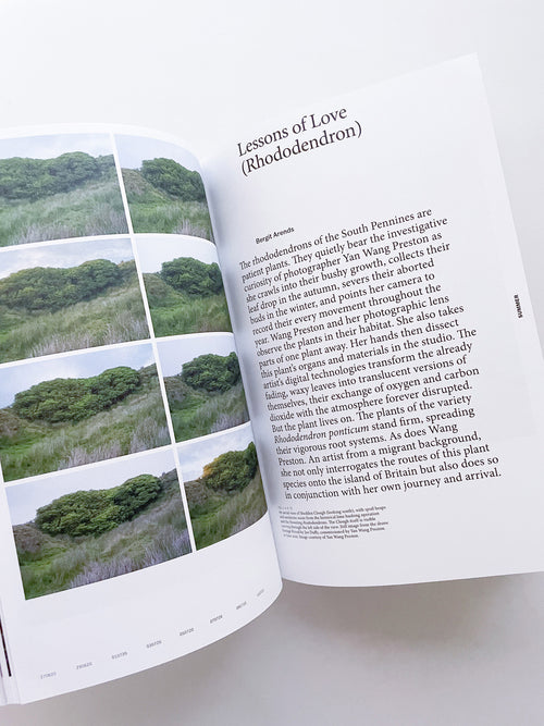 With Love. From an Invader. / Yan Wang Preston