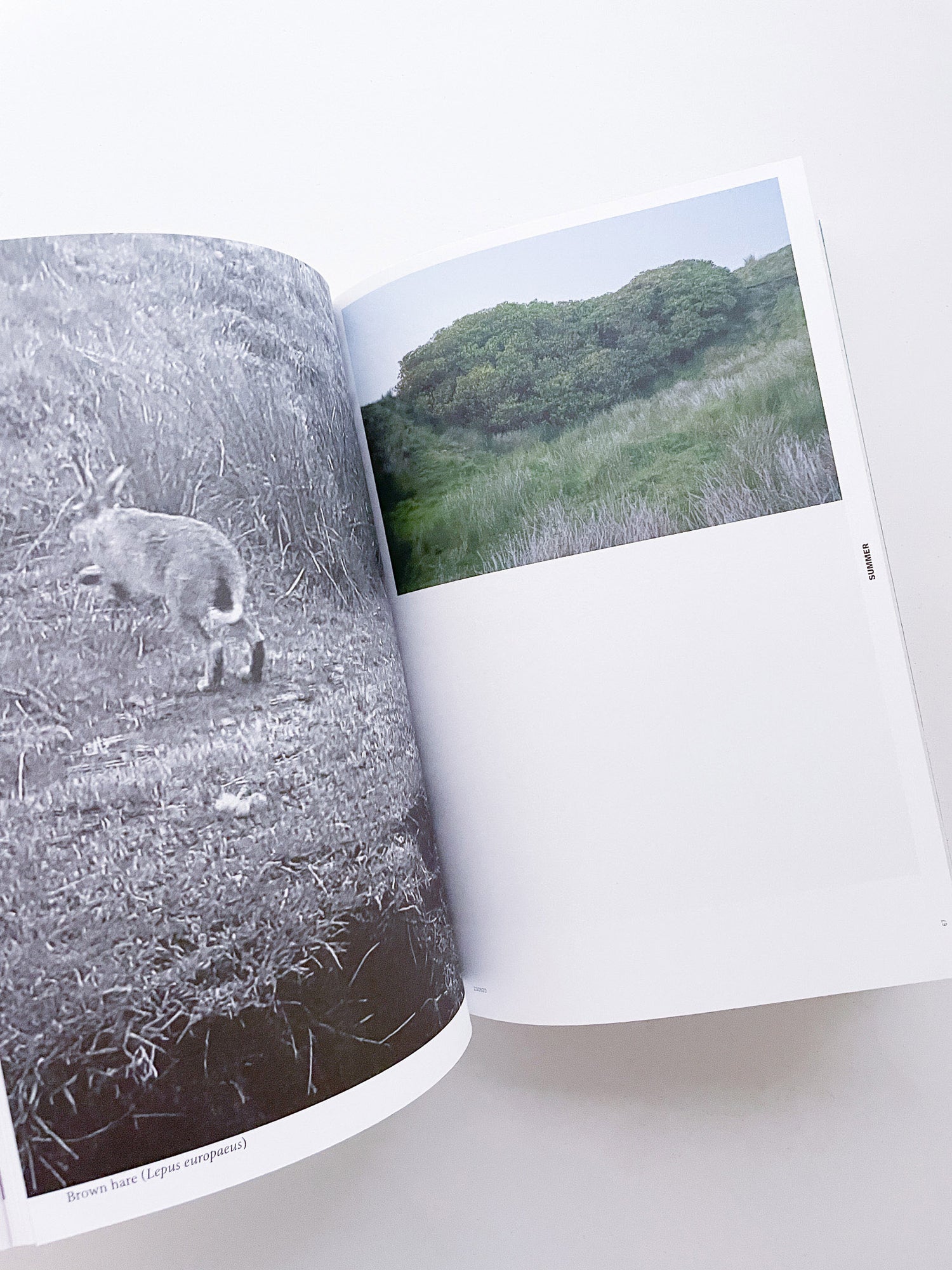 With Love. From an Invader. / Yan Wang Preston