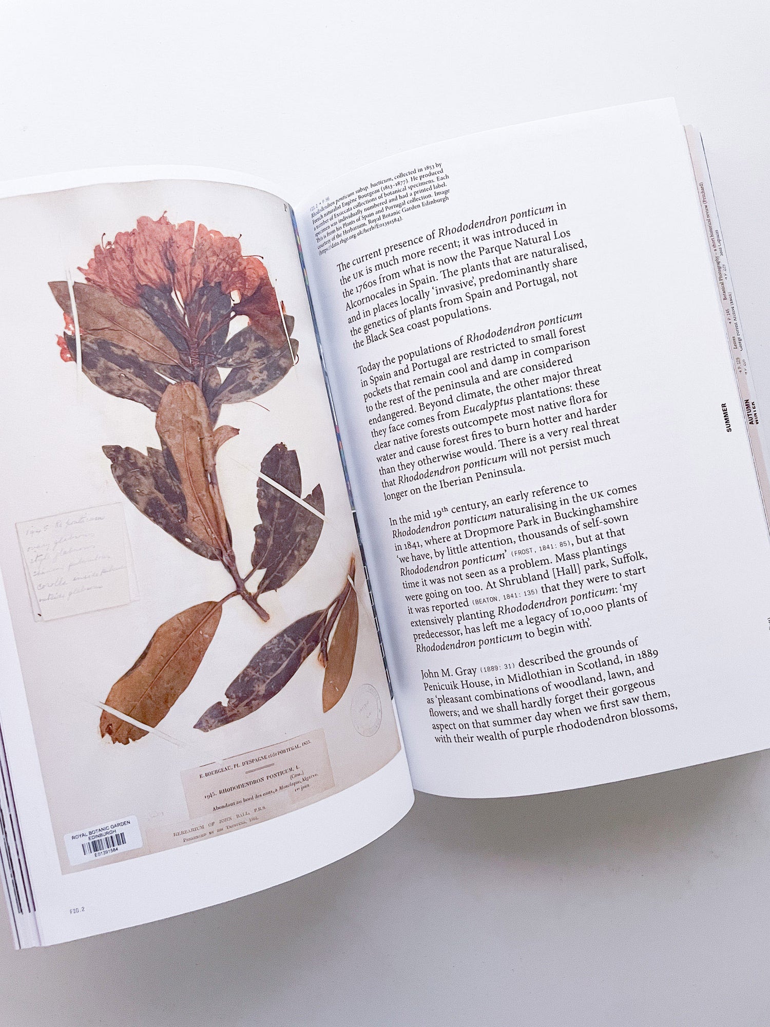 With Love. From an Invader. / Yan Wang Preston