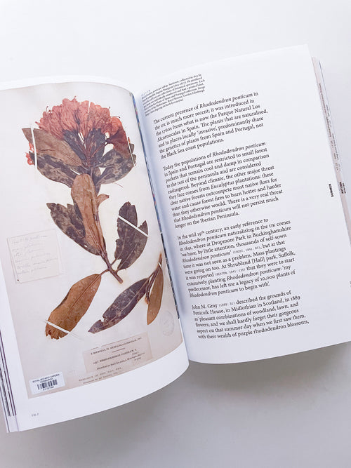 With Love. From an Invader. / Yan Wang Preston