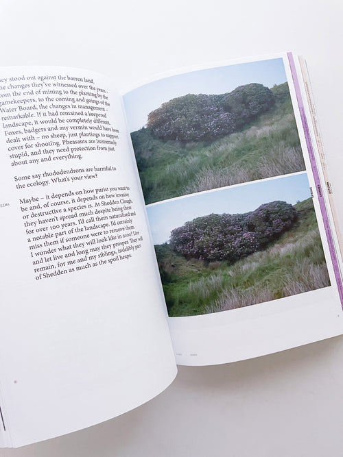 With Love. From an Invader. / Yan Wang Preston