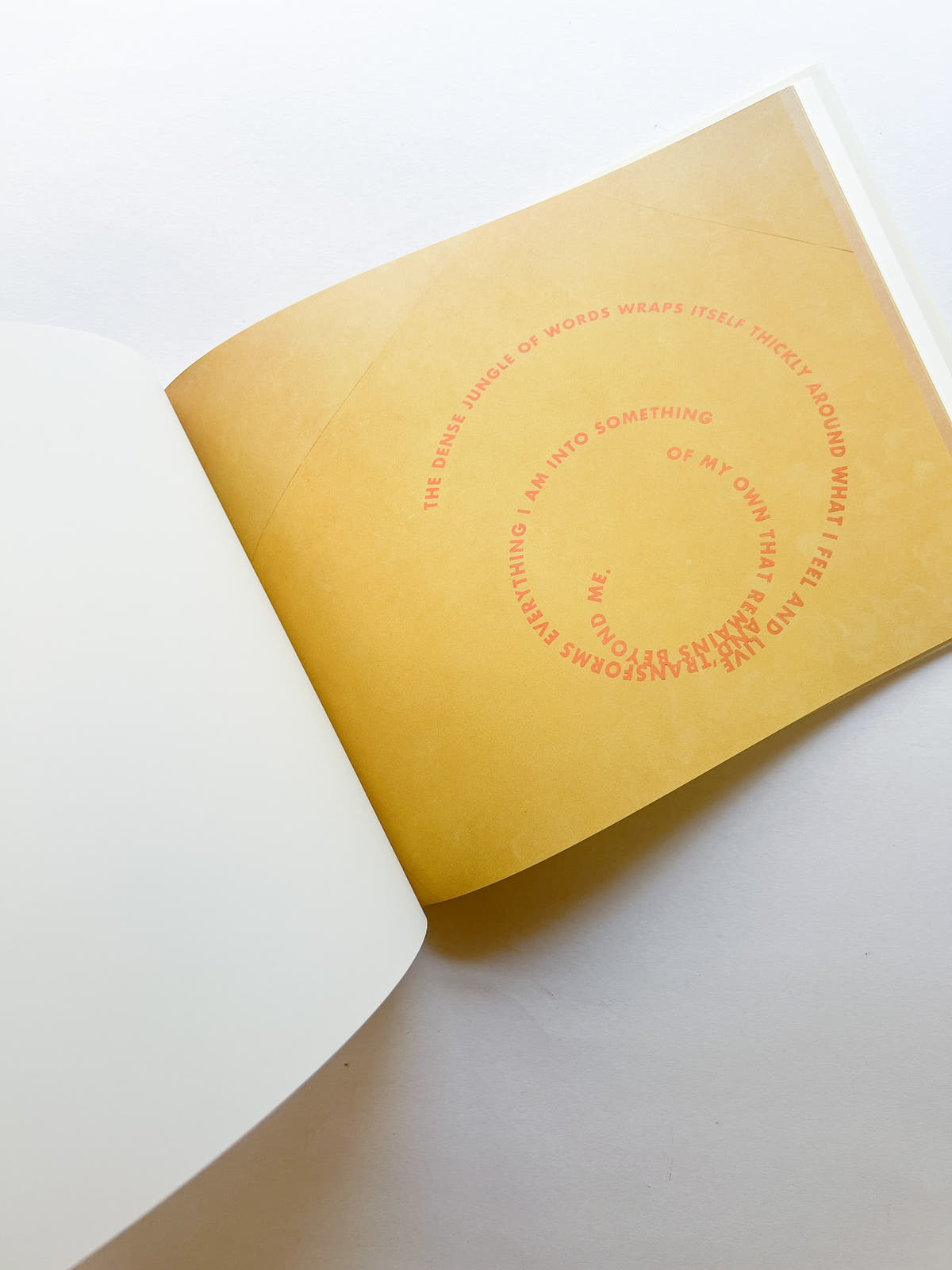 RINGS OF LISPECTOR (AGUA VIVA) / Roni Horn