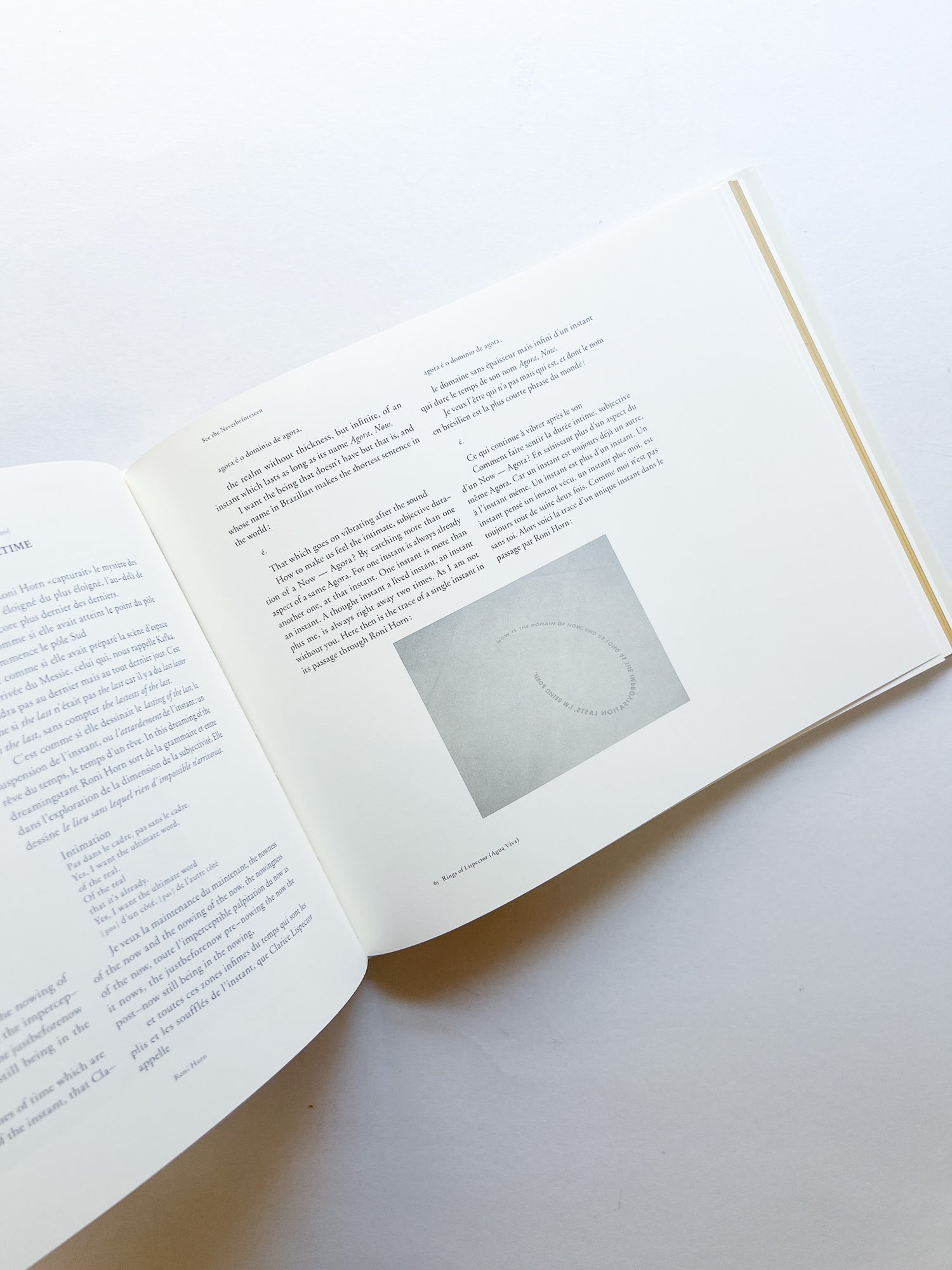 RINGS OF LISPECTOR (AGUA VIVA) / Roni Horn