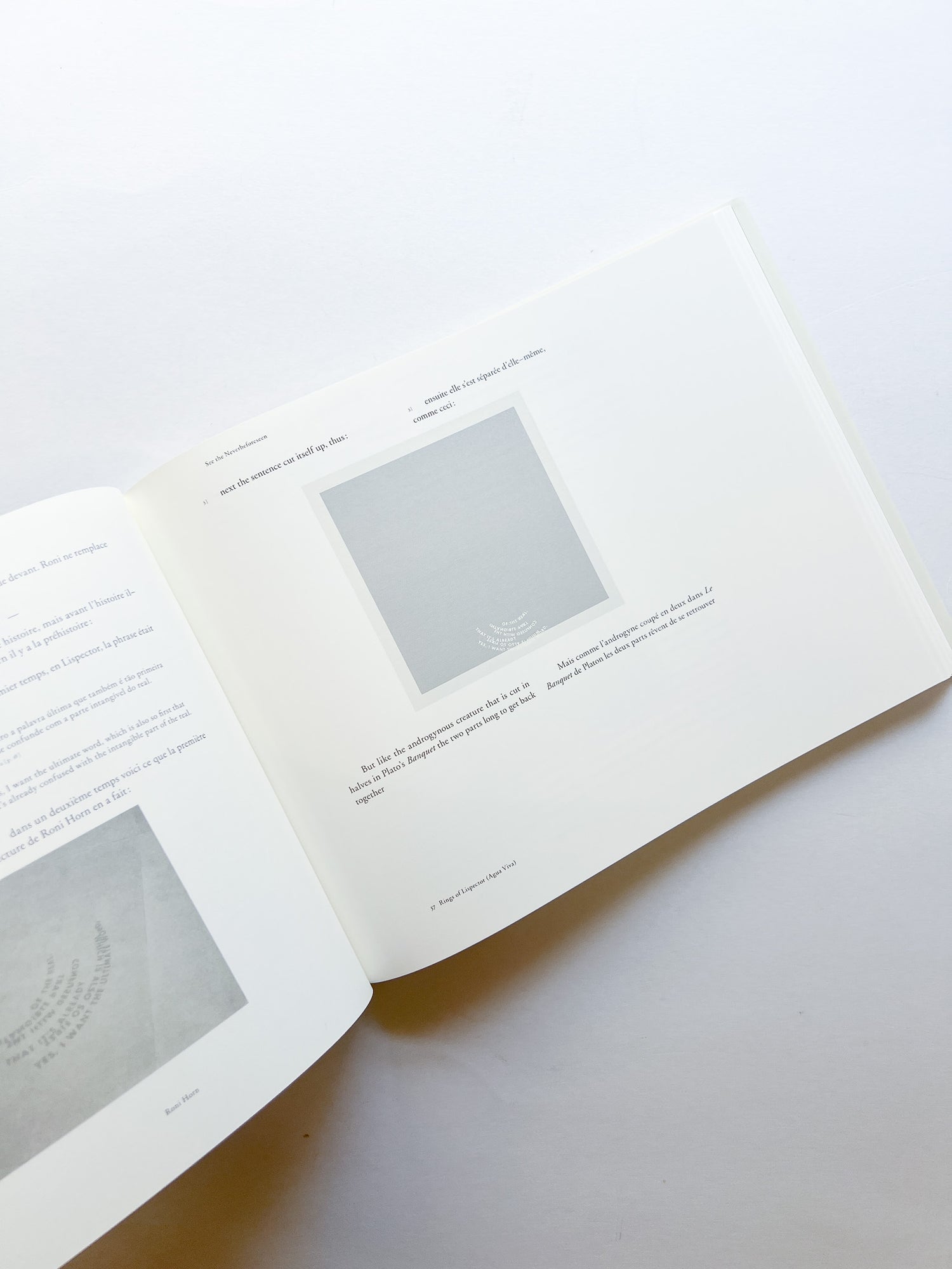 RINGS OF LISPECTOR (AGUA VIVA) / Roni Horn