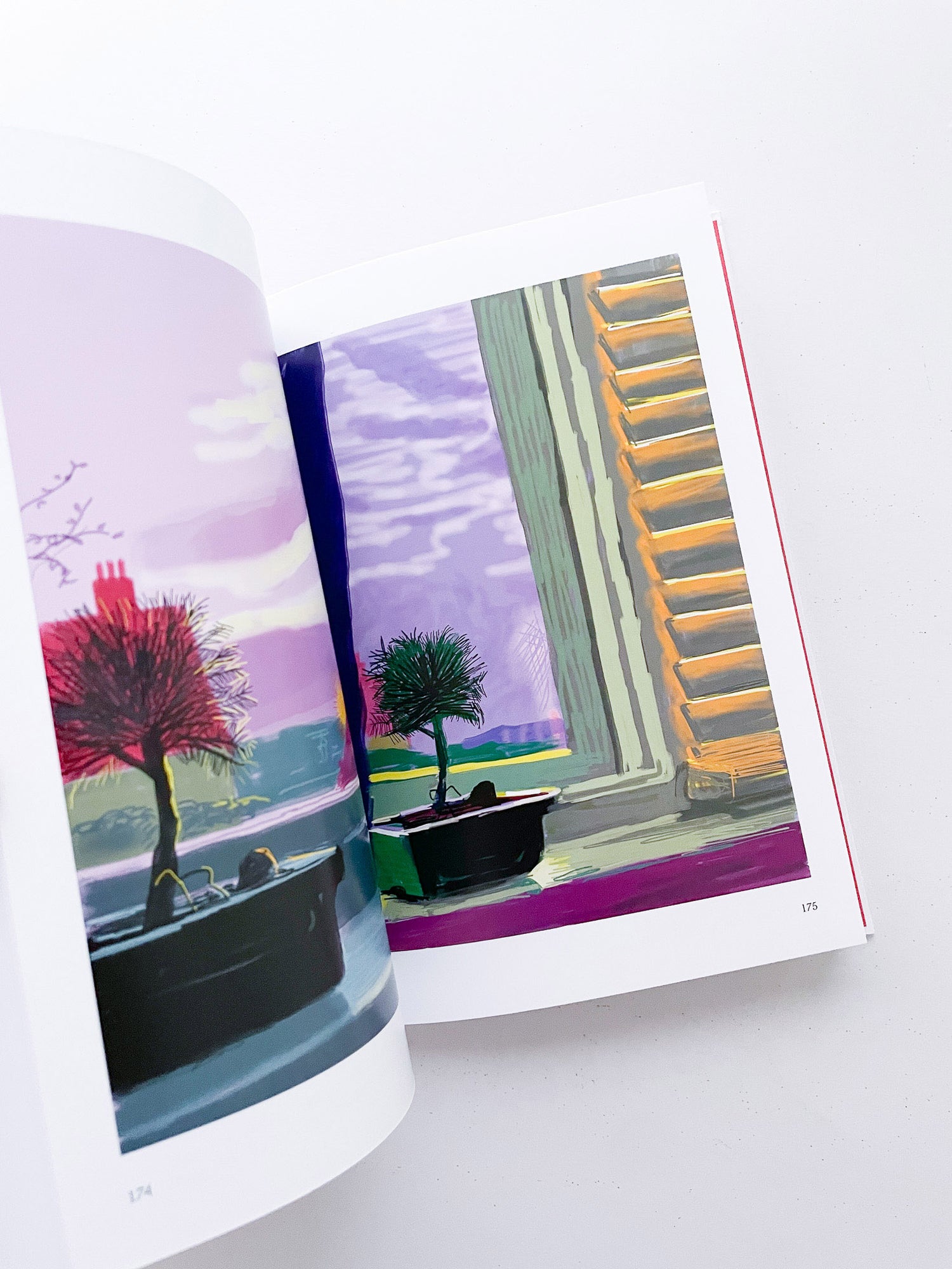 My Window / David Hockney