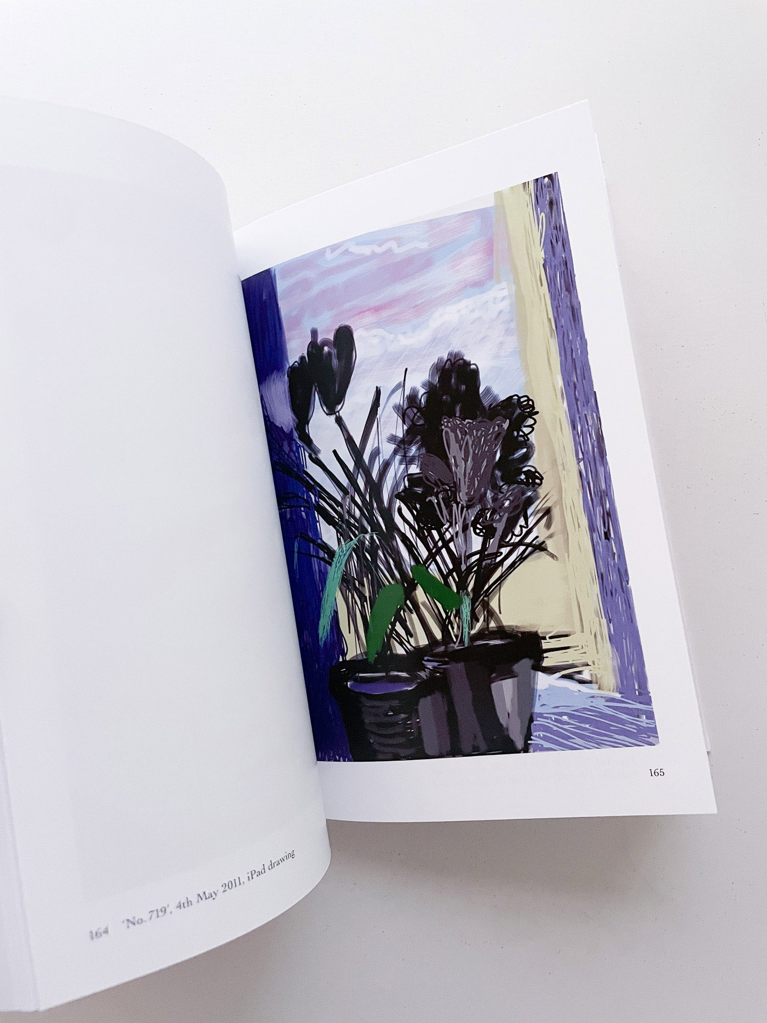 My Window / David Hockney