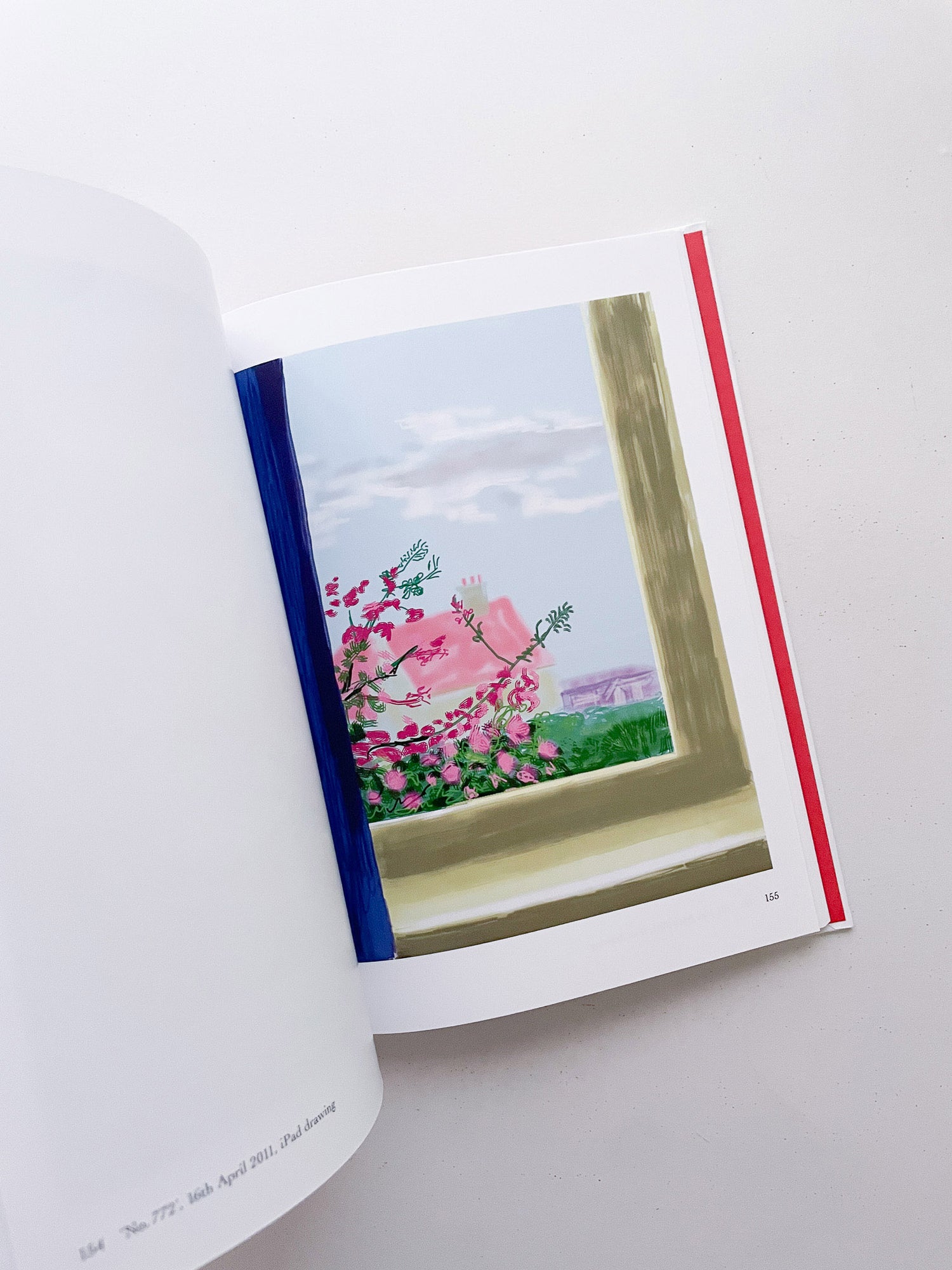 My Window / David Hockney