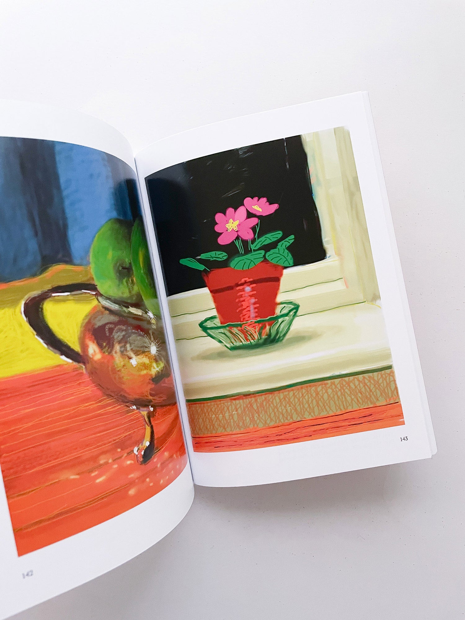 My Window / David Hockney