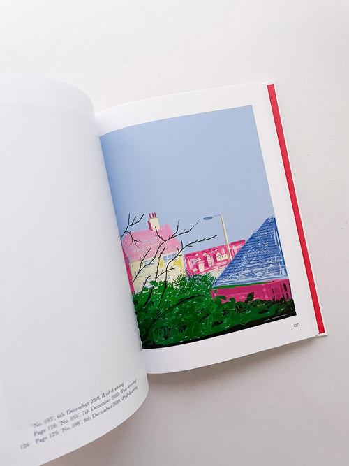 My Window / David Hockney