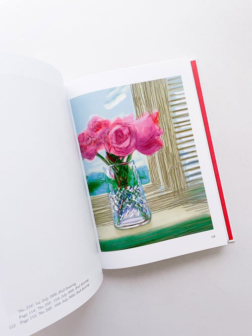 My Window / David Hockney