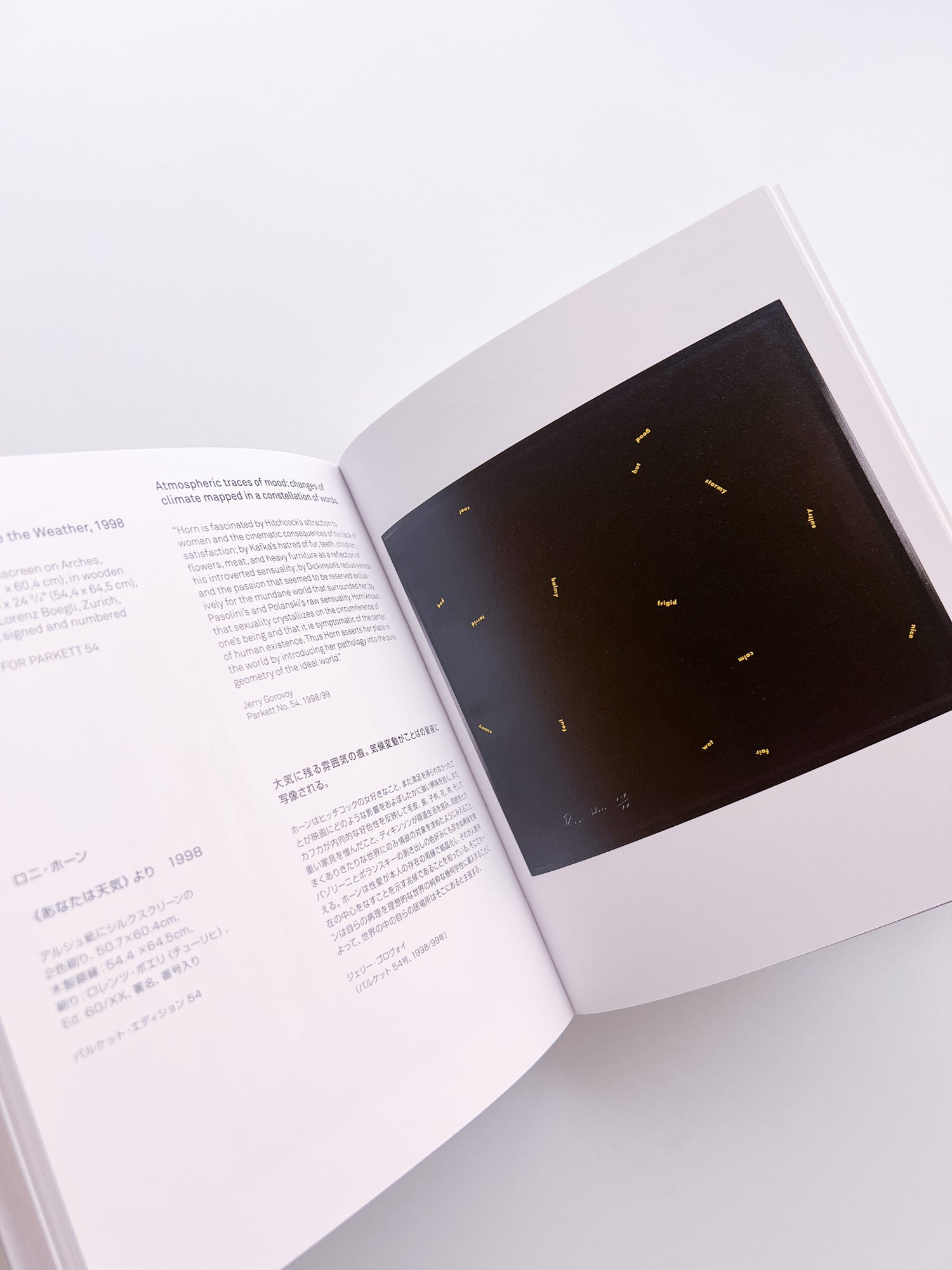 ARTISTS' EDITIONS FOR PARKETT: 200 ART WORKS 25 YEARS