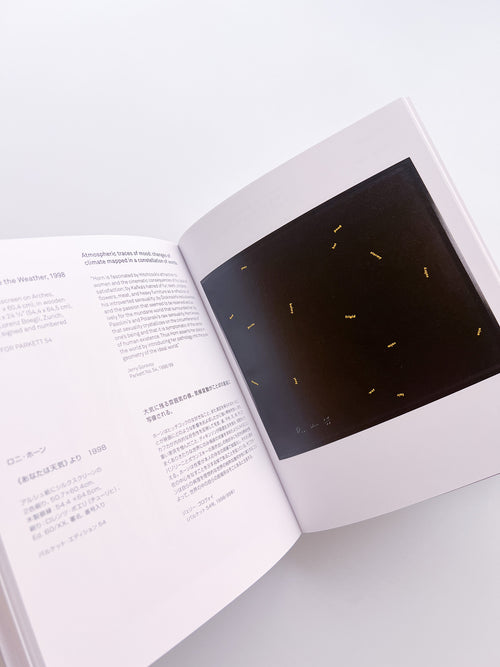 ARTISTS' EDITIONS FOR PARKETT: 200 ART WORKS 25 YEARS