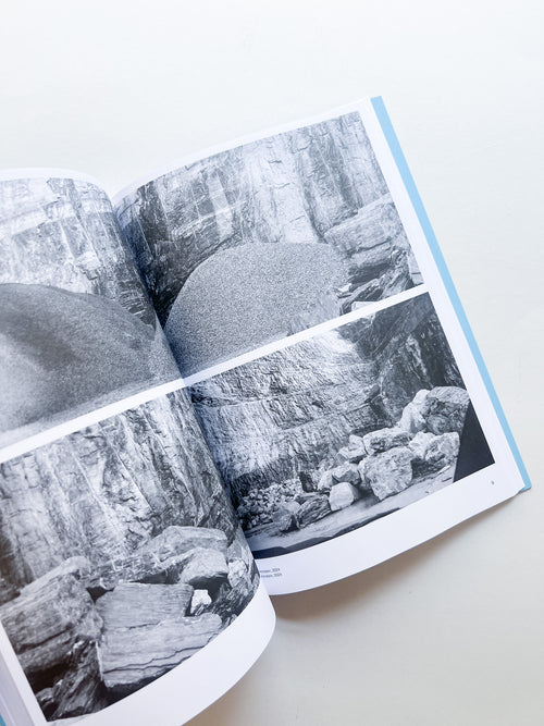 AUTOFICTIONS IN STONE / Aglaia Konrad