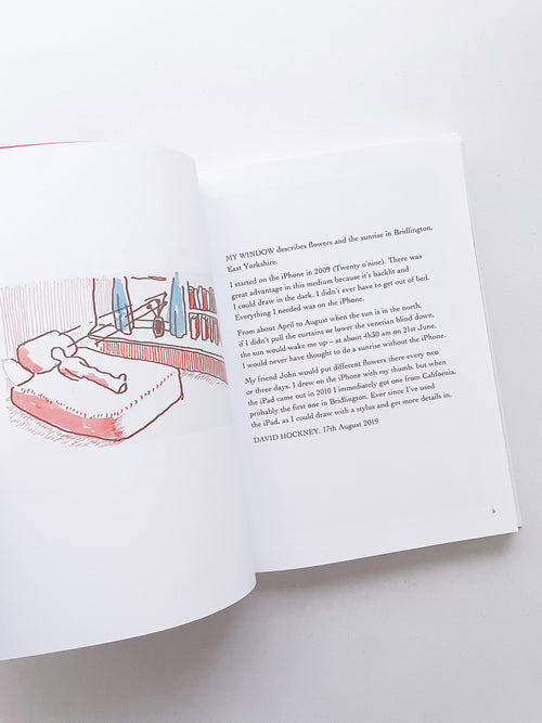 My Window / David Hockney