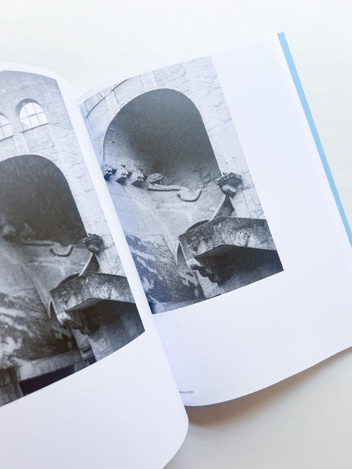 AUTOFICTIONS IN STONE / Aglaia Konrad