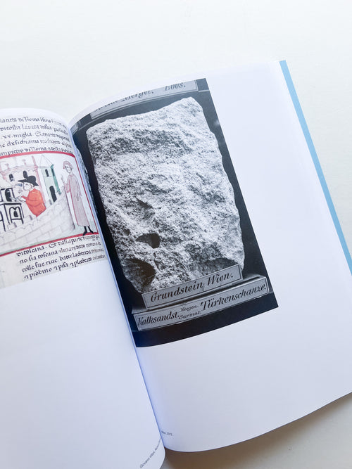 AUTOFICTIONS IN STONE / Aglaia Konrad