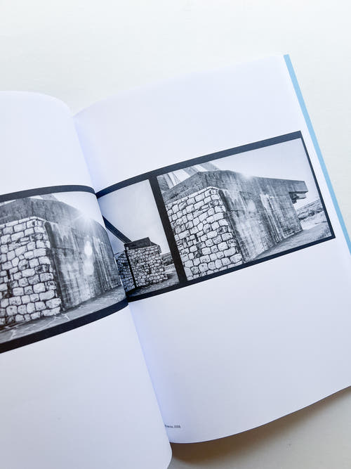AUTOFICTIONS IN STONE / Aglaia Konrad