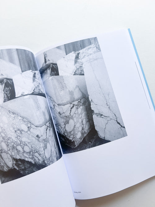 AUTOFICTIONS IN STONE / Aglaia Konrad