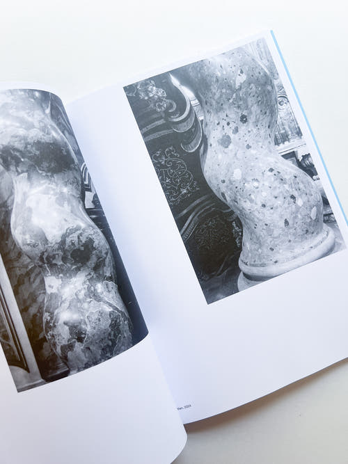 AUTOFICTIONS IN STONE / Aglaia Konrad