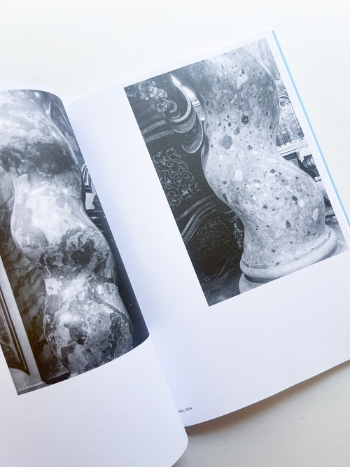 AUTOFICTIONS IN STONE / Aglaia Konrad