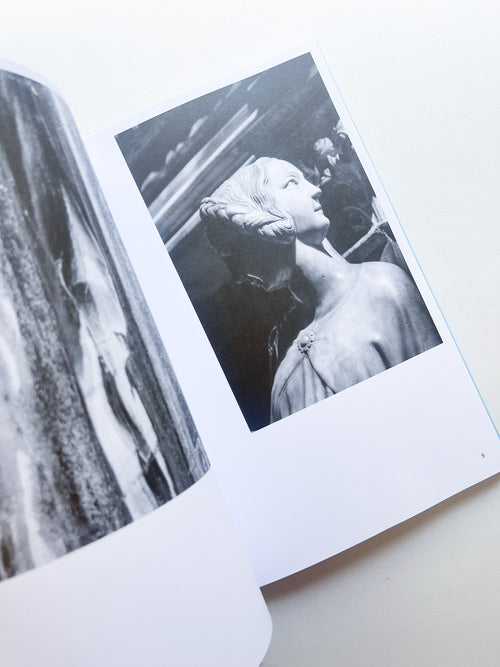 AUTOFICTIONS IN STONE / Aglaia Konrad