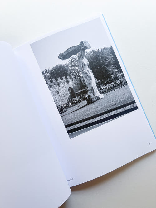 AUTOFICTIONS IN STONE / Aglaia Konrad