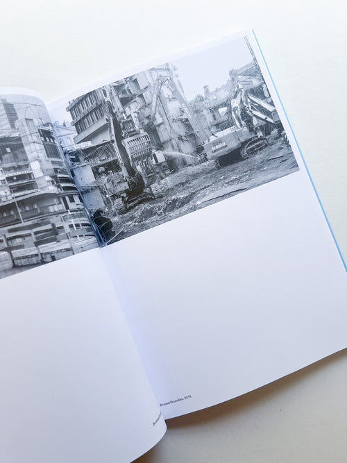 AUTOFICTIONS IN STONE / Aglaia Konrad