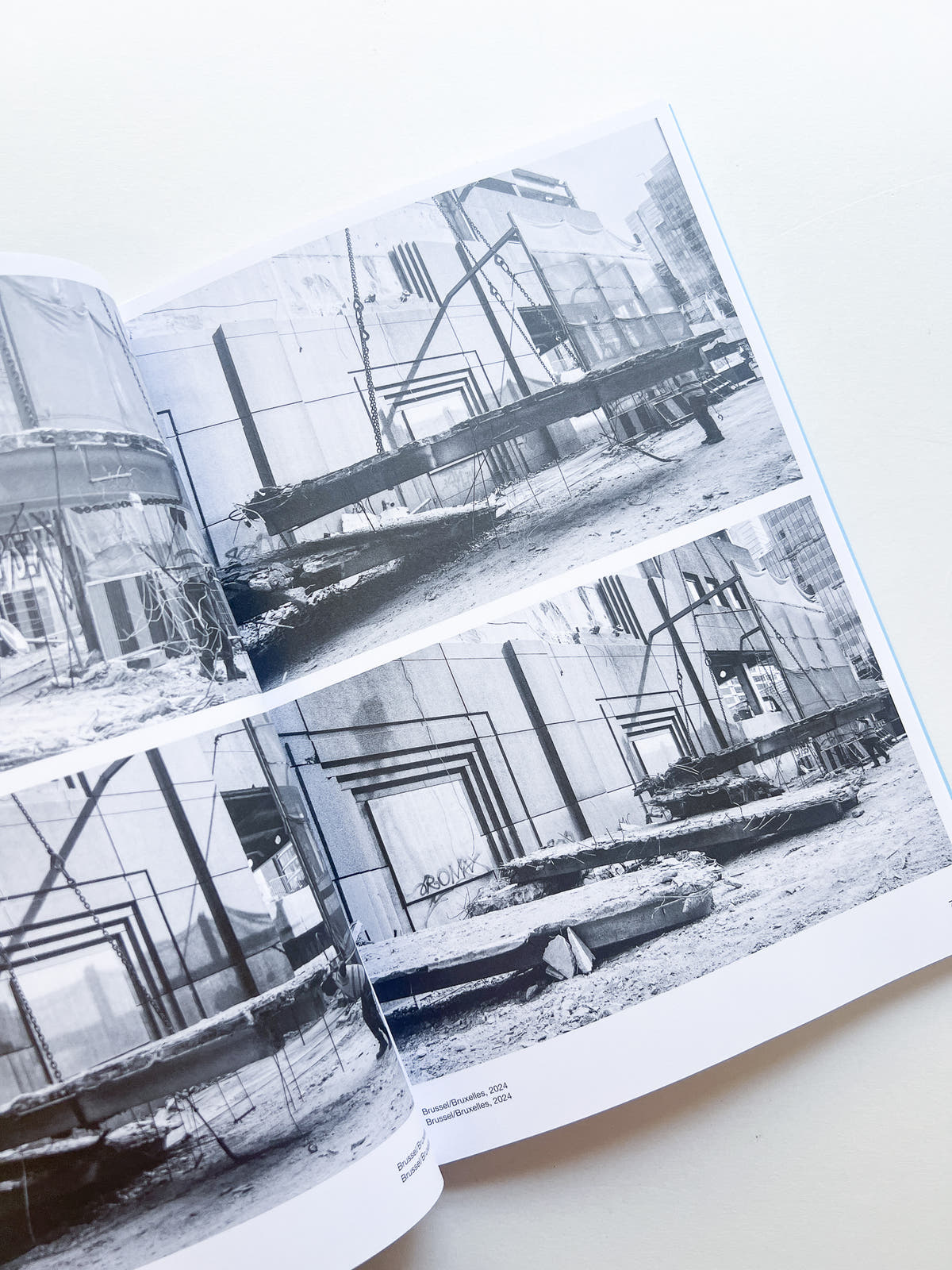 AUTOFICTIONS IN STONE / Aglaia Konrad