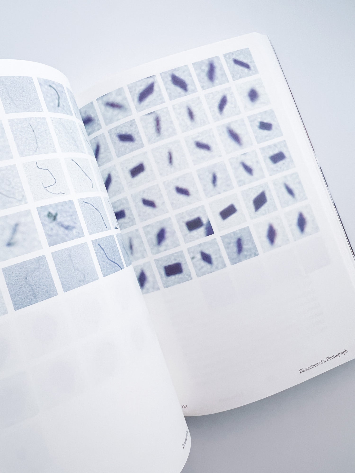 Photology / Arjan de Nooy