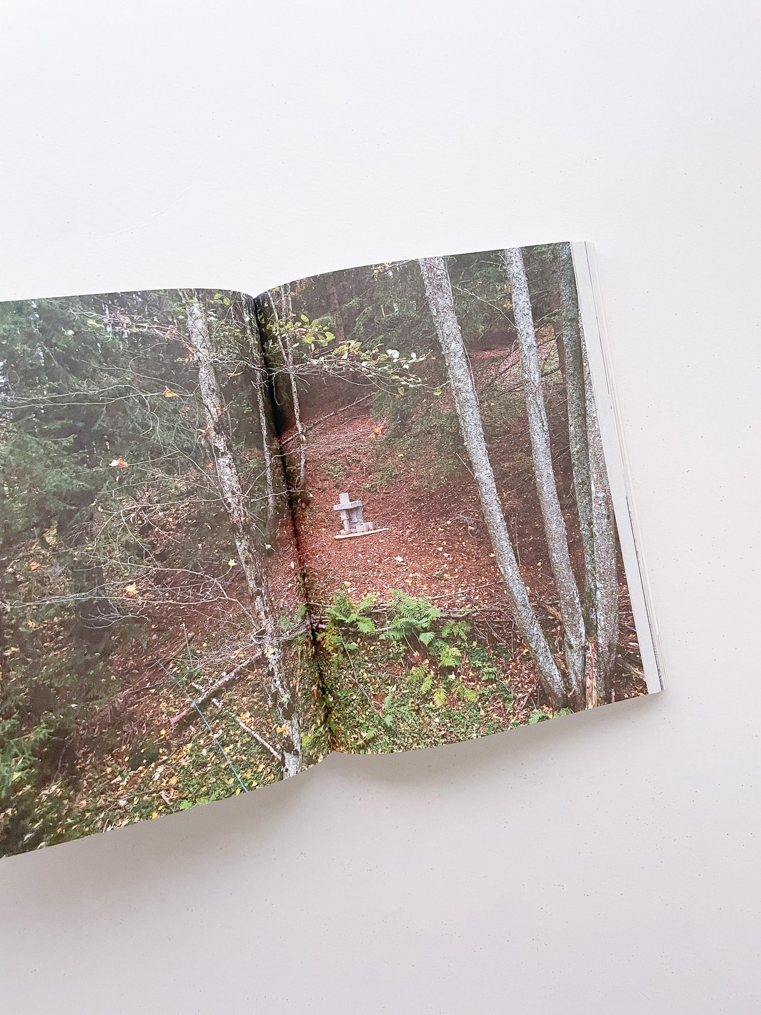 FORMATION / Antony Gormley