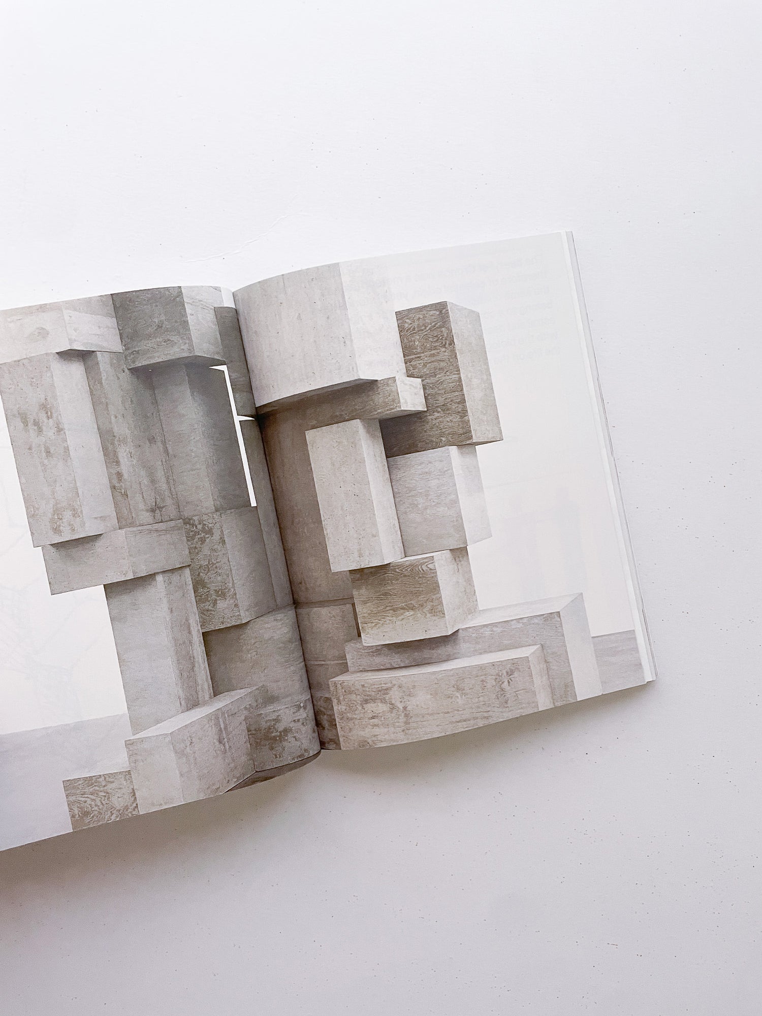 FORMATION / Antony Gormley