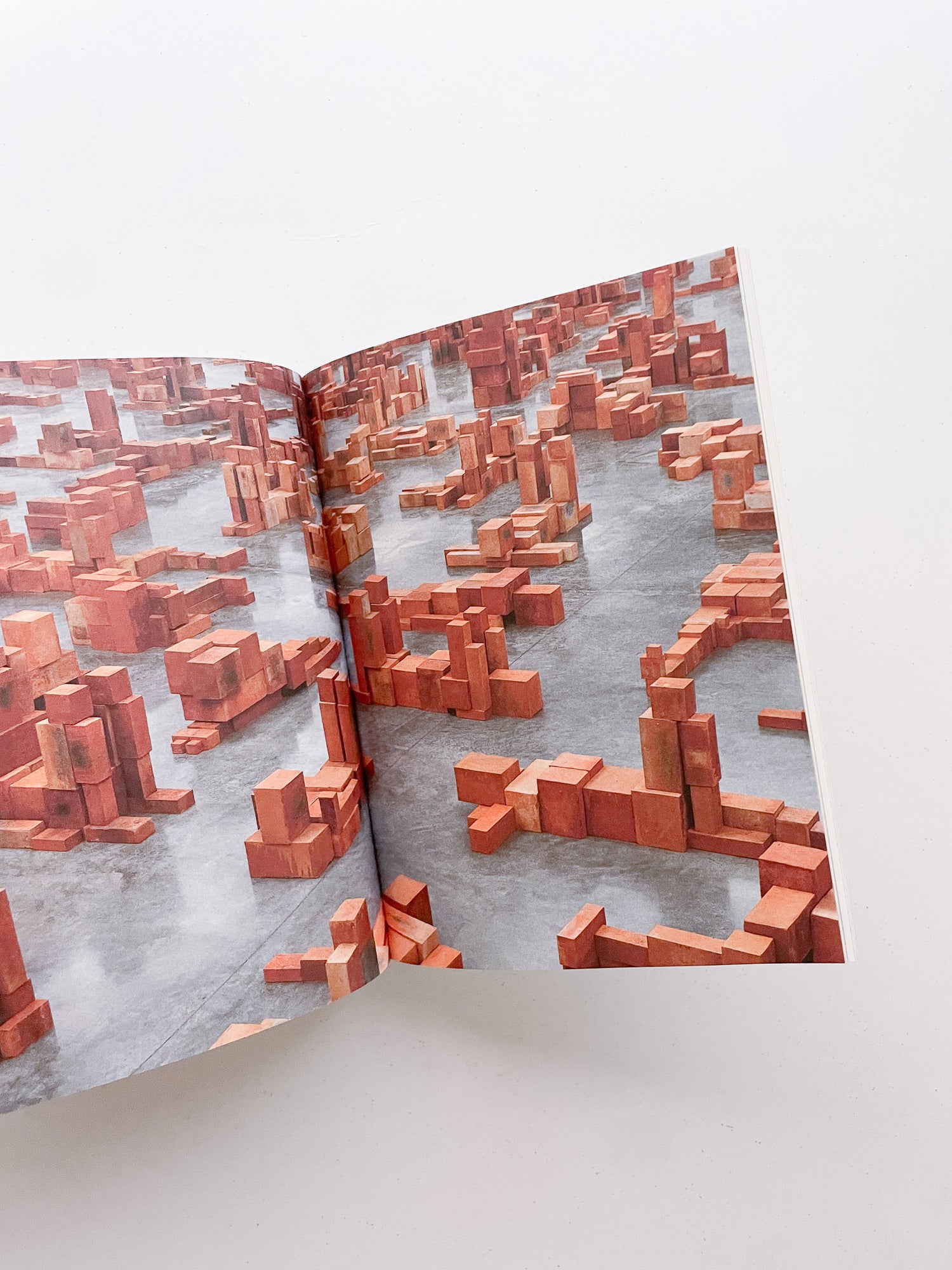 FORMATION / Antony Gormley