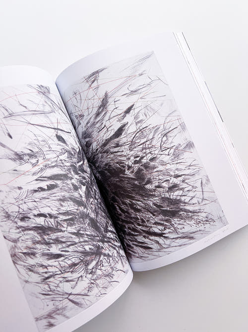 Diagrams of Power – Visualizing, Mapping, and Performing Resistance