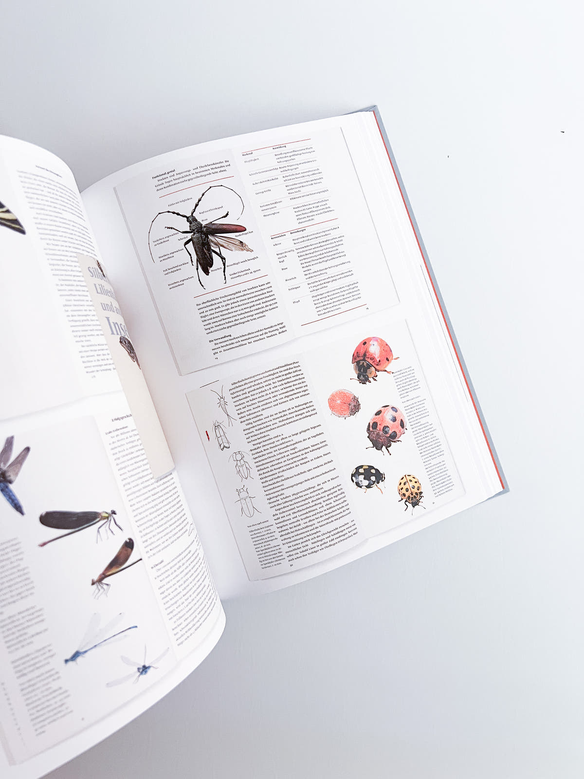Typobiography - Jost Hochuli, The Work of 60 Years
